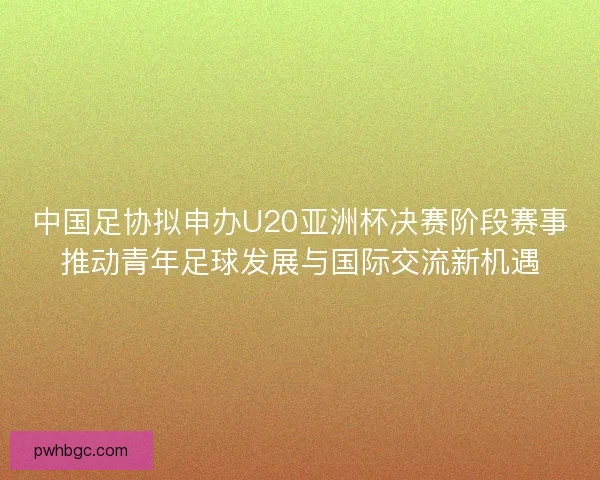 中国足协拟申办U20亚洲杯决赛阶段赛事推动青年足球发展与国际交流新机遇